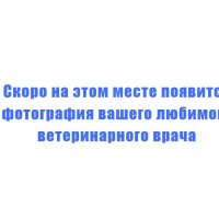 Бачковский Станислав Николаевич