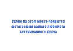 Бачковский Станислав Николаевич