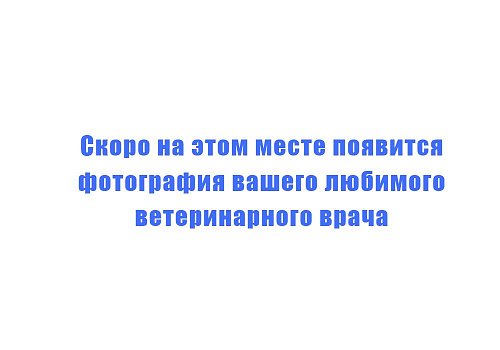 Бачковский Станислав Николаевич